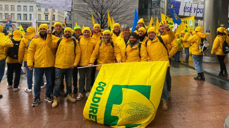 Dalla Romagna A Bruxelles La Protesta Degli Agricoltori