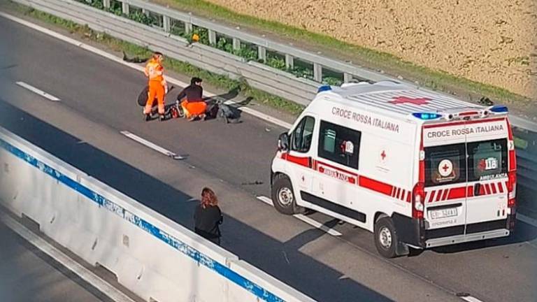 Incidente mortale sulla E45: automobilista sbalzato dall’abitacolo perde la vita