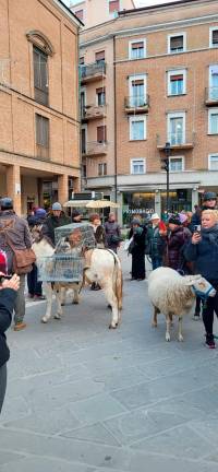 Rimini, la benedizione degli animali in piazza