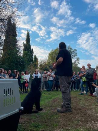 Cesena, festa al canile con tanto di sfilata