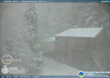 Campigna sotto la neve