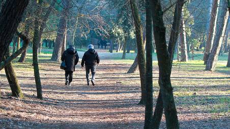 Le passeggiate meditative si svolgeranno nella secolare pineta cervese