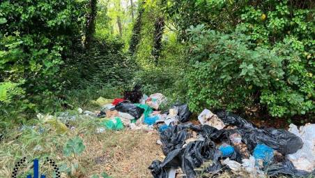 Ha buttato 51 sacchi di rifiuti nelle colline tra Rio Eremo e Diolaguardia: maxi-multa a ristorante di Bertinoro