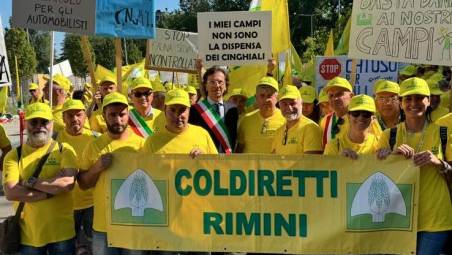 Coriano, problema cinghiali: il sindaco Ugolini a Bologna manifesta con gli agricoltori