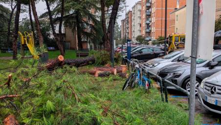 A sinistra quel che resta del pino crollato sull’auto