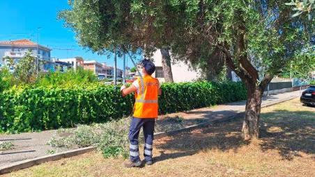 Riccione, aumentano i mesi dello sfalcio erba a causa del cambiamento climatico