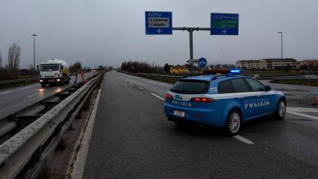 Pettorina Cane Taglia Grande Media Piccola Waldseemüller - AbruzzoNews24