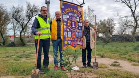 Il Lions Club Ravenna Romagna Padusa pianta 12 nuovi alberi a Lido di Dante