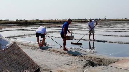 Salinari nella salina Camillone di Cervia