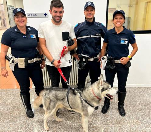 Cesena, il nonno si distrae e il cane Husky esce di casa e vaga tra le auto in via Cesenatico: salvato dalla polizia