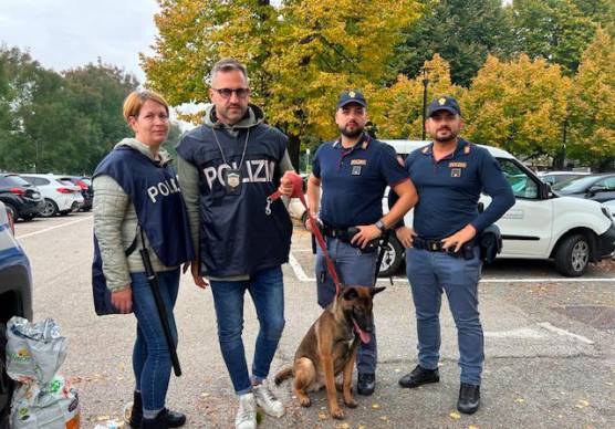 Cuccioli senza cibo e acqua in mezzo a rifiuti ed escrementi, denunciato un 21enne a Bologna