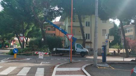 Cesena, ripristino di strade e marciapiedi danneggiate dalle radici degli alberi: ecco le vie interessate