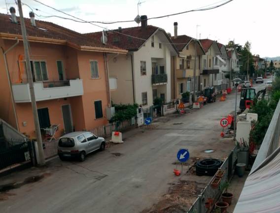 Cattolica, via del Giglio: al posto dei 78 pini arrivano 81 tra frassini e aceri