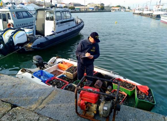 Sorpresi A Pescare Vongole Nel Porto Di Ravenna Sequestrati Kg Di Molluschi