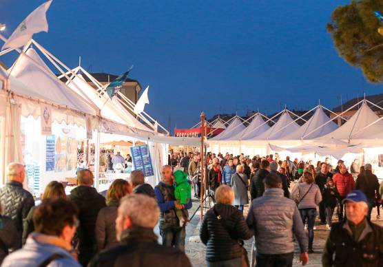 Cesenatico, torna il Pesce fa Festa: cosa fare e dove mangiare