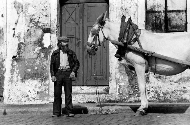 Protagonisti 100 scatti fotografici di Marco Pesaresi