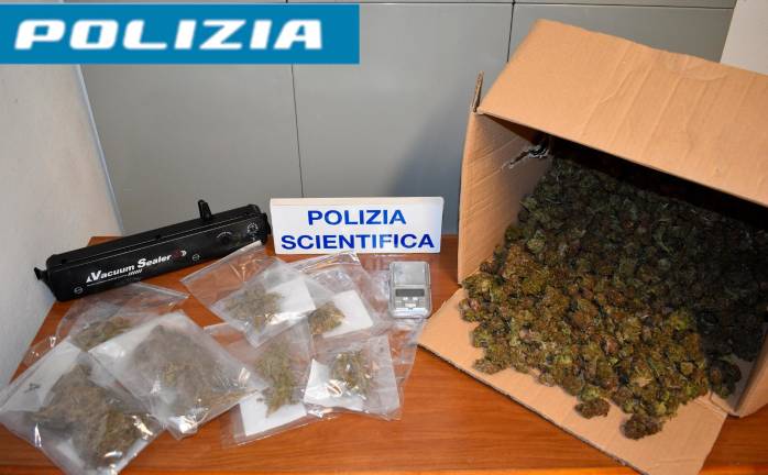 Nasconde nel garage dei nonni un chilo di marijuana pronta per la vendita: 40enne arrestato a Cesena