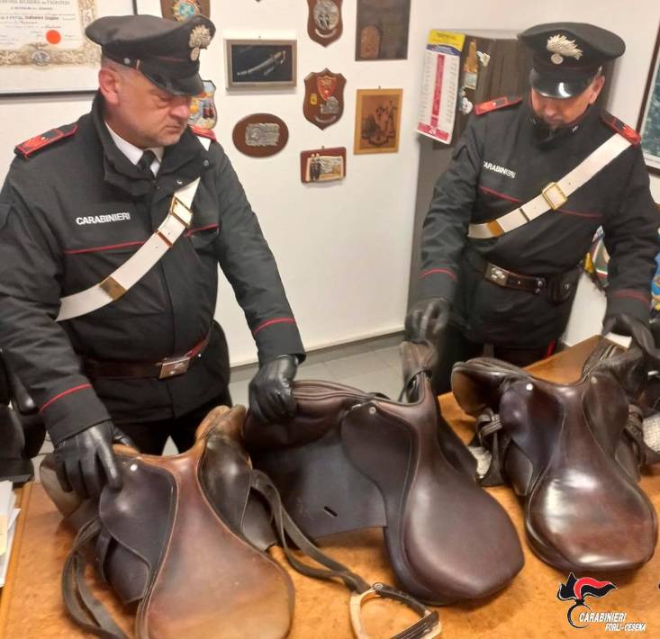 Ruba 4 selle da cavallo del valore di 20mila euro: scoperto a Savignano