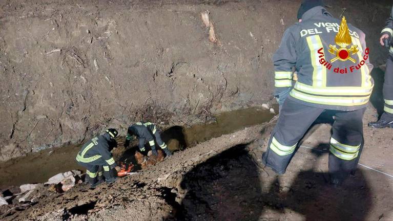 Cesena, donna scivola nella notte nella scarpata per soccorrere il cane con la zampa fratturata: soccorsi dai Vigili del Fuoco