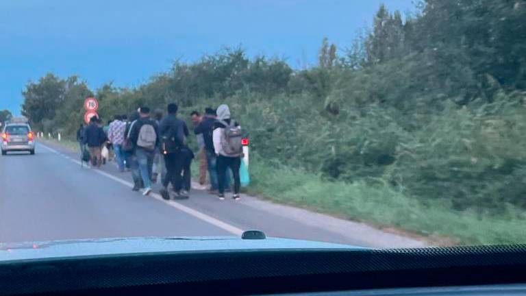 Lavoratori a piedi in via Trieste