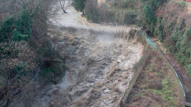 Caldo anomalo in Romagna, nei giorni della merla come aprile: 20 gradi