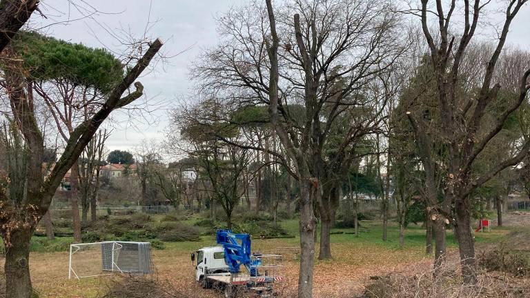 Forlì, protesta per gli alberi tagliati al Ronco Lido FOTOGALLERY