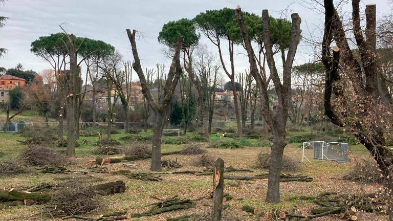 Forlì, protesta per gli alberi tagliati al Ronco Lido FOTOGALLERY