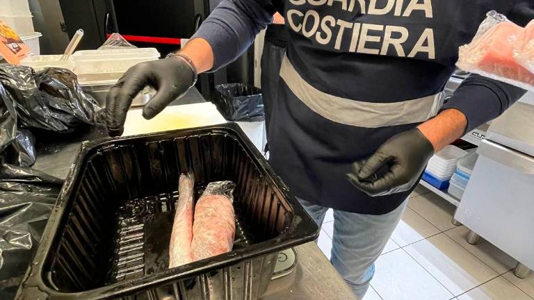 Pulisce il tonno per strada e il video diventa virale: la Guardia Costiera di Ravenna sequestra il pesce del ristorante etnico di Bologna VIDEO