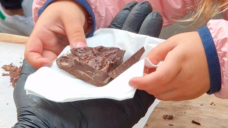 Una tavoletta di cioccolato di 30 chili per il compleanno di Riccione - Gallery