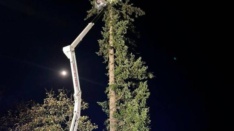 Raffiche Di Vento: Alberi Caduti E Tetti Pericolanti: Cento Interventi ...