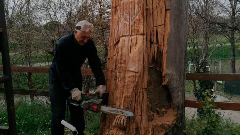 Rimini, Roblas, il re del legno: così gli alberi morti diventano opere d’arte