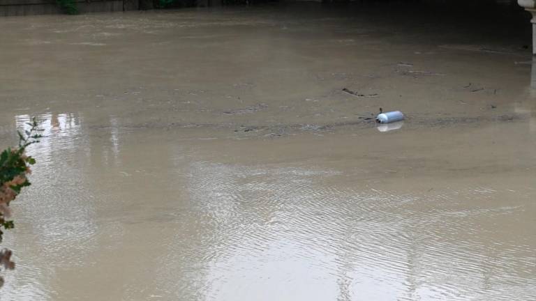 Forlì, rabbia e paura per il maltempo FOTOGALLERY