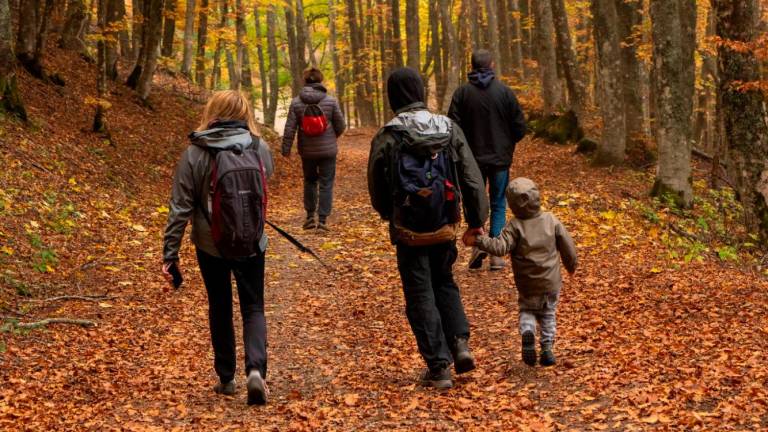 Bagno di Romagna, Torna il Festival Fall Foliage: il fine settimana che celebra colori e sapori dell’autunno