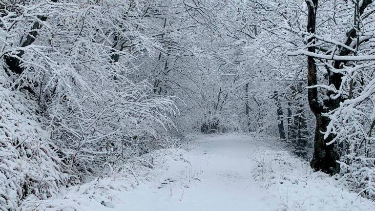 Neve e Appennino romagnolo imbiancato: uno scenario da favola - VIDEO GALLERY