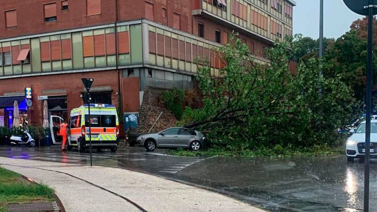 Maltempo su Rimini: crolla un albero in piazza Malatesta su un’auto in sosta