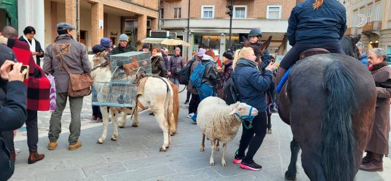 Rimini, la benedizione degli animali in piazza