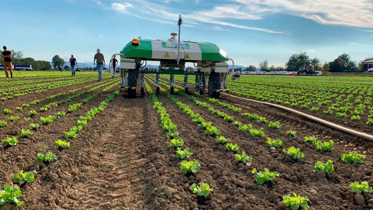 Economia, scenari per Forlì-Cesena e Rimini: cala la disoccupazione, crolla l’Agricoltura, crescono i Servizi