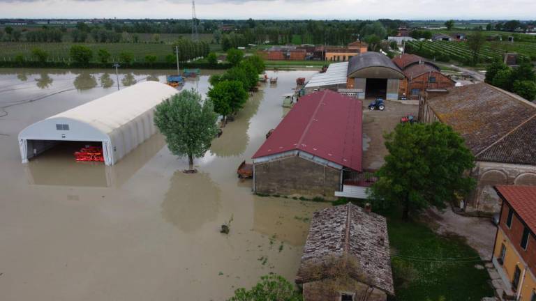 Alluvione e Festival di Sanremo. Appello del sindaco al ravennate Amadeus: «Indennizzi indispensabili per ripartire»