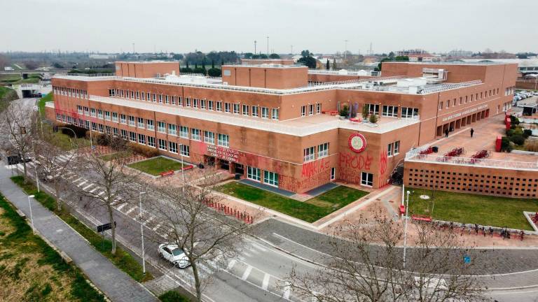 Cesena, scritte no vax al campus universitario. De Pascale: «Atto vile, l’Emilia-Romagna difende la conoscenza»