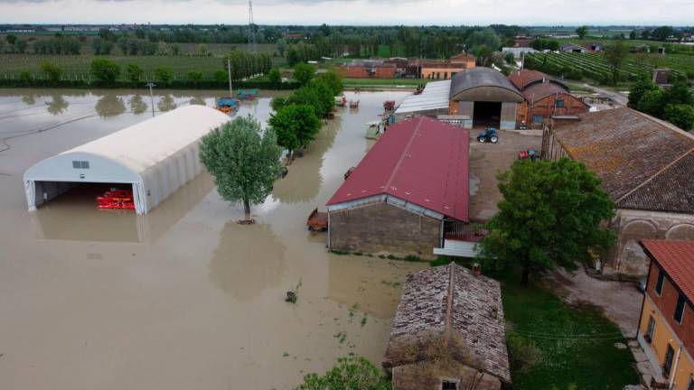 Alluvione, Legacoop Romagna: “A Cab Massari rimborsato meno del 15% del danno, siamo preoccupati per le risorse”