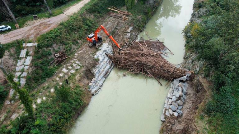 Ieri a Cesena sono cominciate le operazioni per rimuovere il legname trattenuto dalla briglia