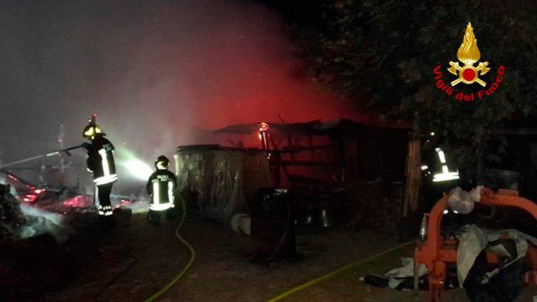 Cesena, incendio nel fabbricato agricolo, morte due mucche