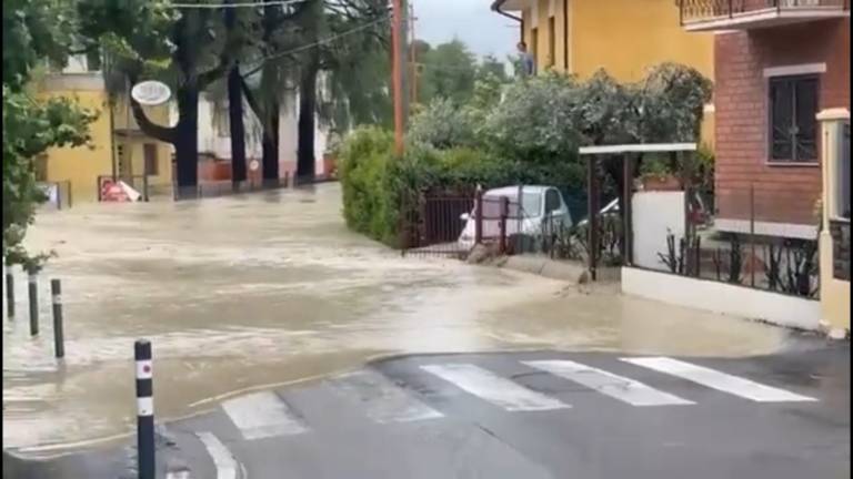 Maltempo a Cesena, il fiume Savio rompe gli argini: case allagate, decine di auto sommerse VIDEO