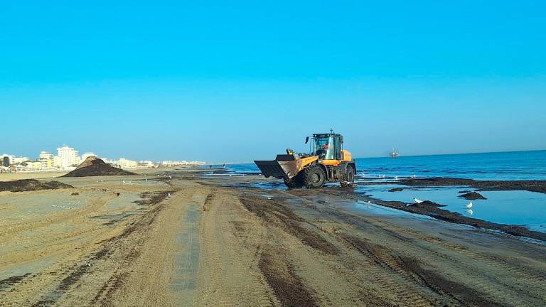 Rimini, pulizie di primavera tra spiaggia e sfalcio del verde - Gallery