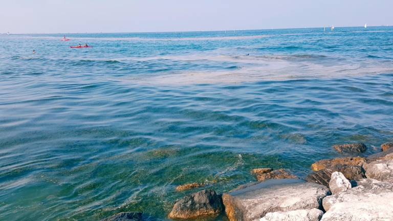 Una chiazza di mucillagine in mare