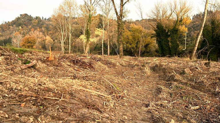 Cesena, “no al taglio degli alberi lungo il Savio”: presidio del Wwf in via Roversano