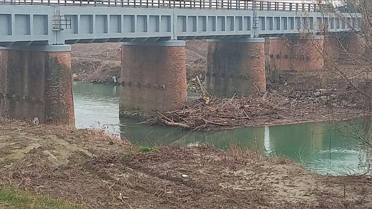 Ravenna, legname sotto il ponte ferroviario: “Rfi pulisca con urgenza”