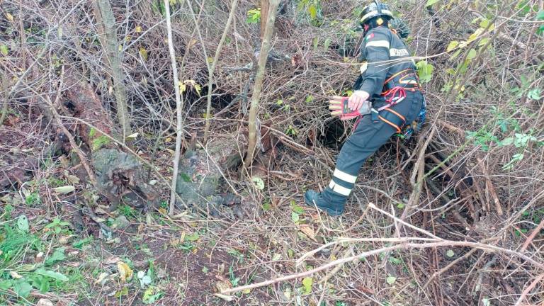 Cane precipita e muore in un pozzo lasciato pericolosamente incustodito a San Carlo di Cesena