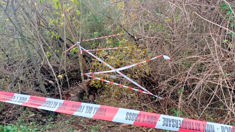 Cane precipita e muore in un pozzo lasciato pericolosamente incustodito a San Carlo di Cesena