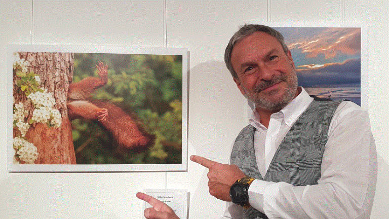 Bagnacavallo, scoiattolo fotografato al Podere Pantaleone vince premio internazionale